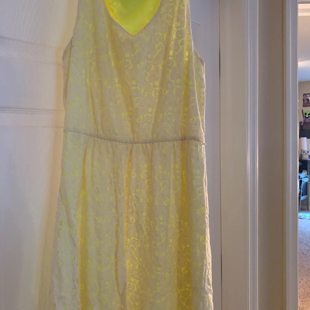 Express Floral Dress